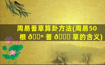 周易蓍草算卦方法(周易50根 🐺 蓍 🐕 草的含义)